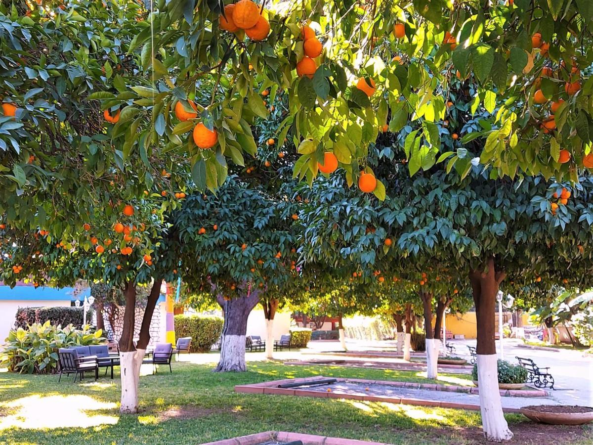 Cetinel Otel 아다나 외부 사진